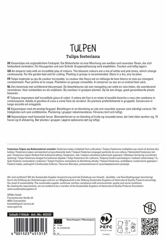  Fosteriana-Tulpe Flaming Purissima (5 Stück)
