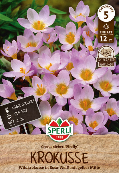  Wildkrokus Firefly (12 Stück)
