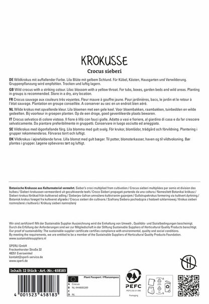  Wildkrokus Firefly (12 Stück)