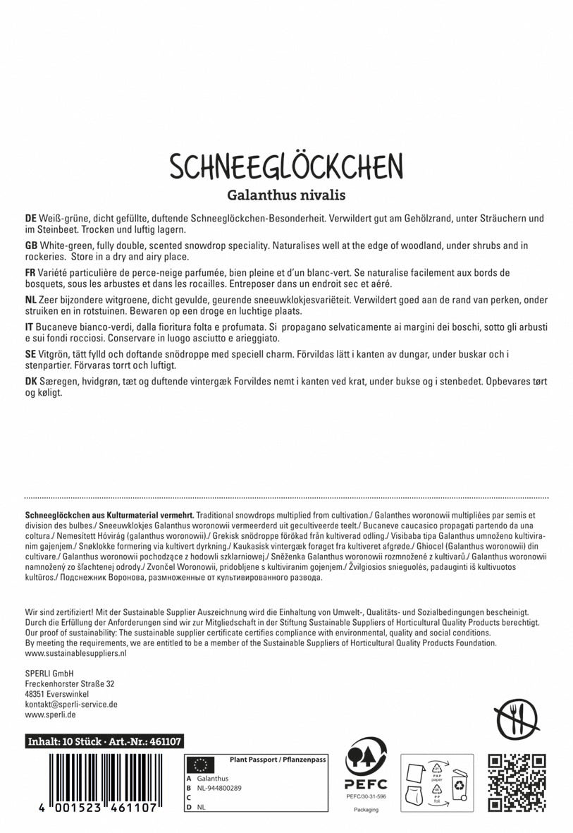  Schneeglöckchen Flore Pleno (10 Stück)
