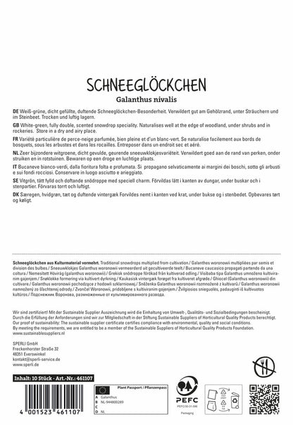  Schneeglöckchen Flore Pleno (10 Stück)