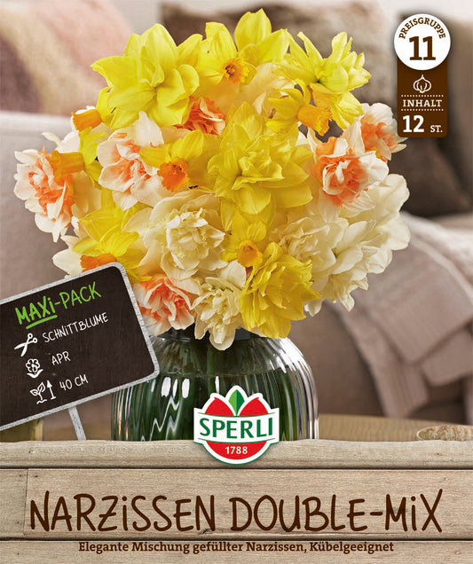  Narzissen Farbmischung Mix (12 Stück)