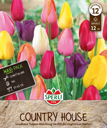  Tulpe Landhaus Mix (12 Stück)