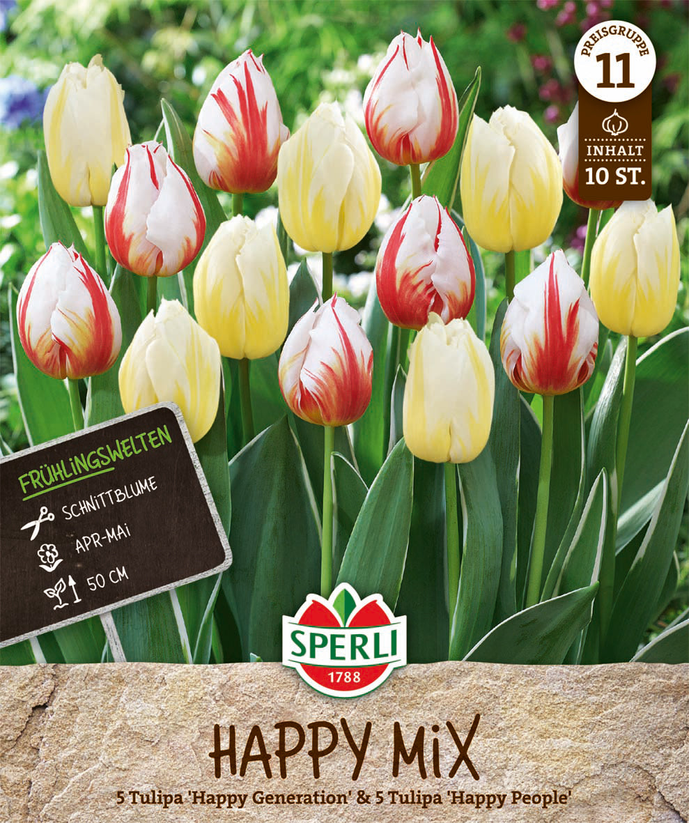  Frühlingsgarten Happy Mix (10 Stück)