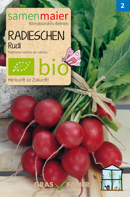  BIO Radieschen Rudi