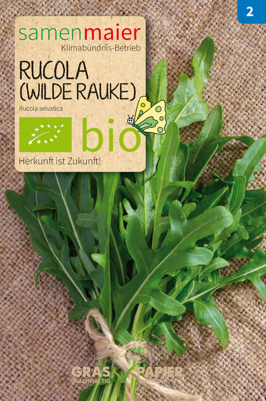  BIO Rucola (mehrjährig)