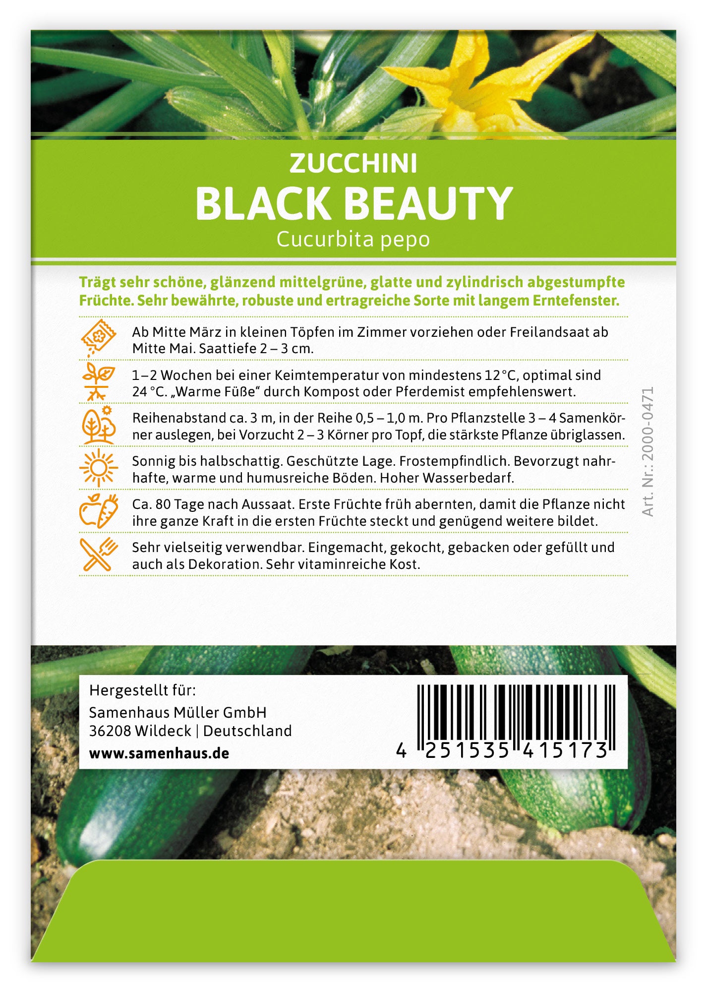  Zucchini Black Beauty