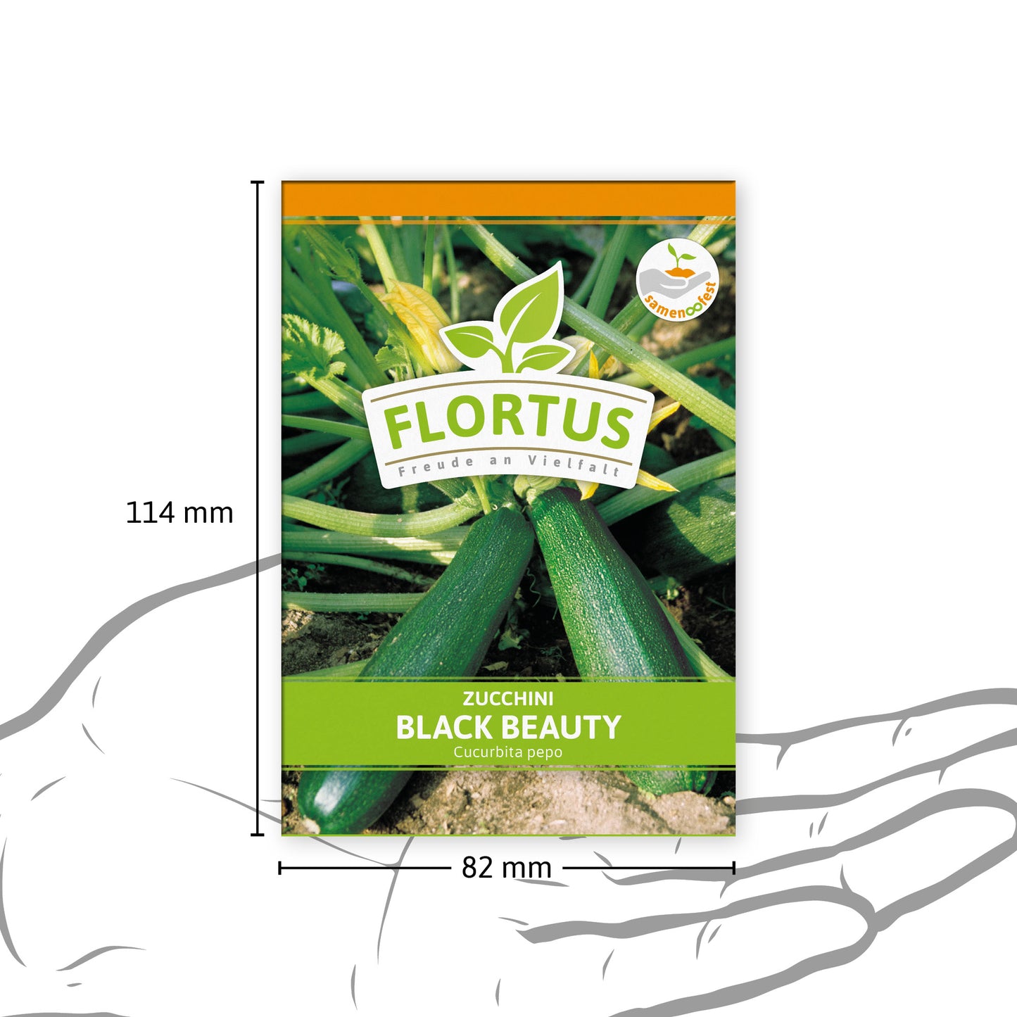  Zucchini Black Beauty