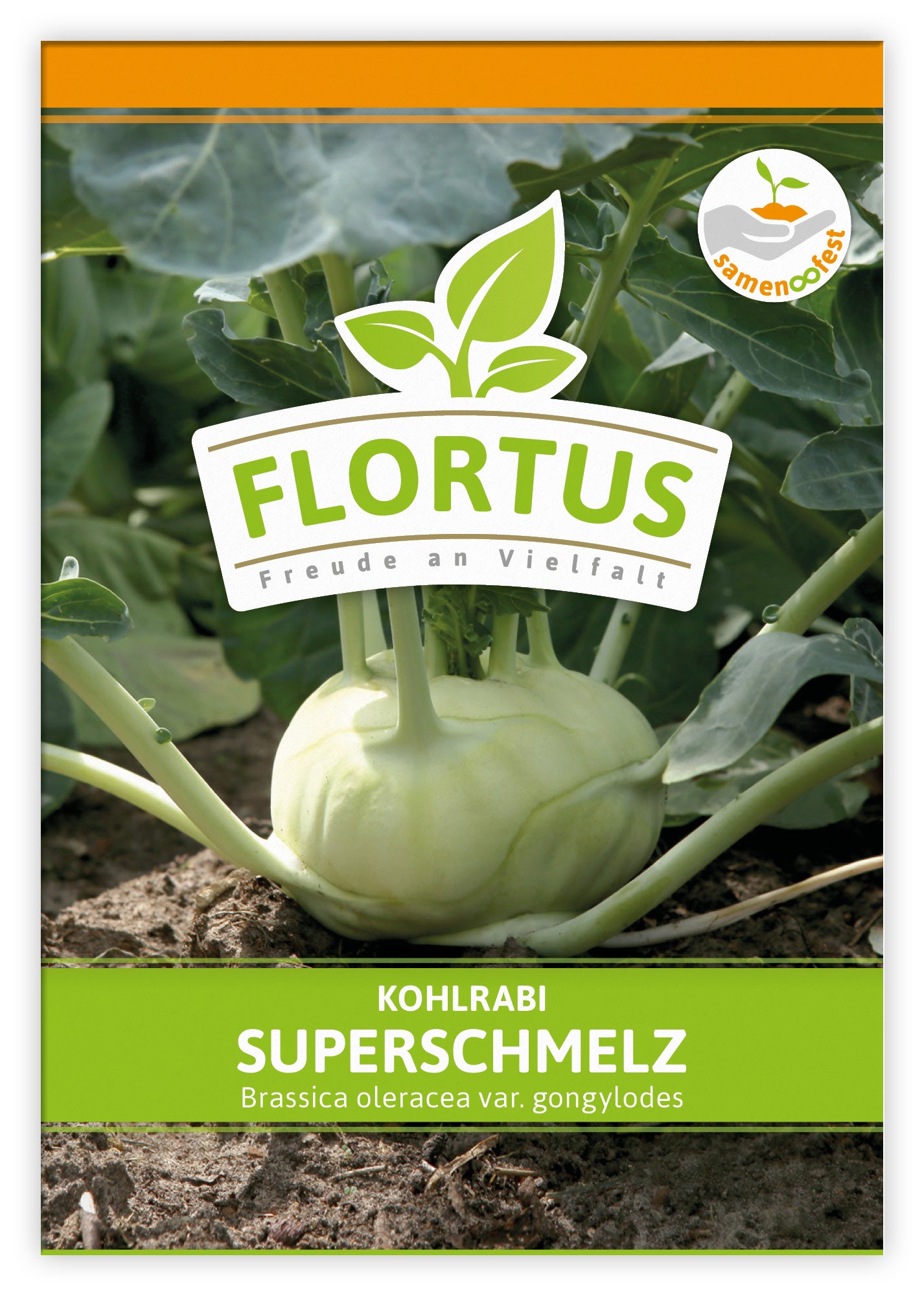  Kohlrabi Superschmelz