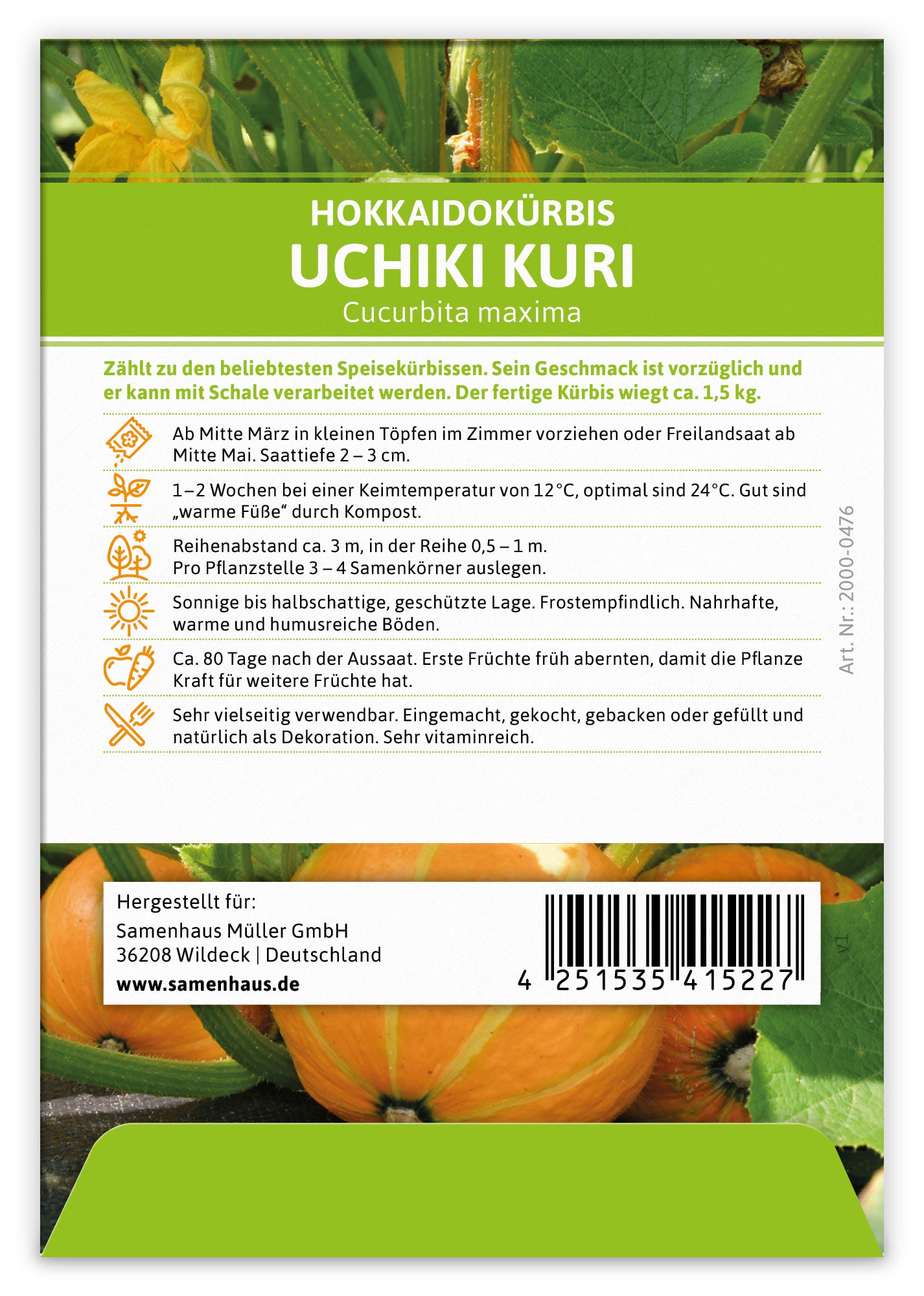  Hokkaidokürbis Uchiki Kuri