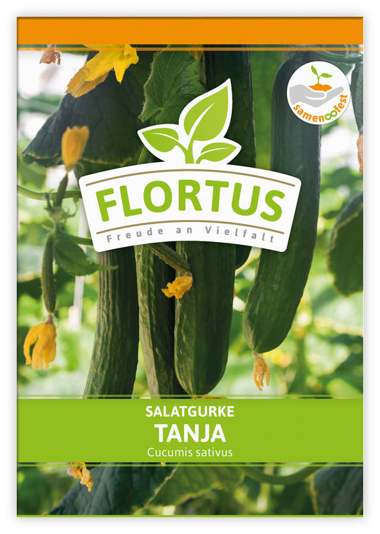  Salatgurke Tanja