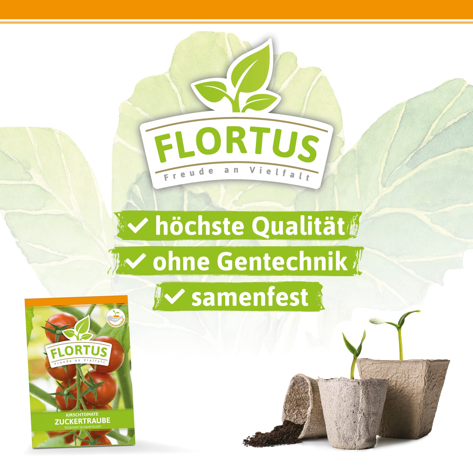  Kirschtomate Zuckertraube