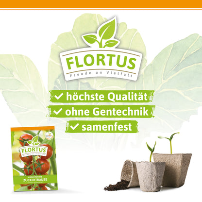  Kirschtomate Zuckertraube