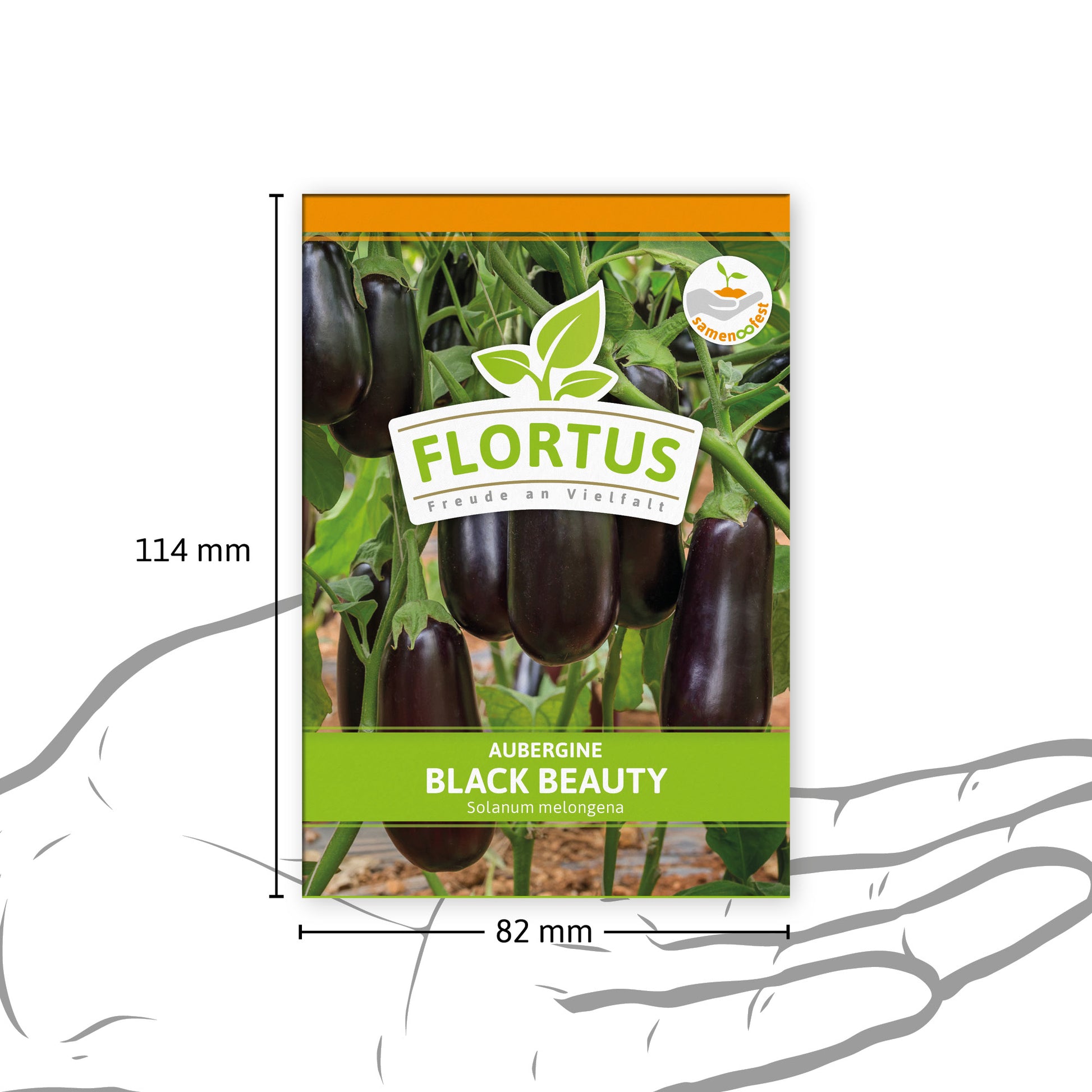  Aubergine Black Beauty