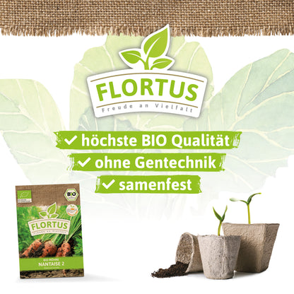  BIO Möhre Nantaise 2