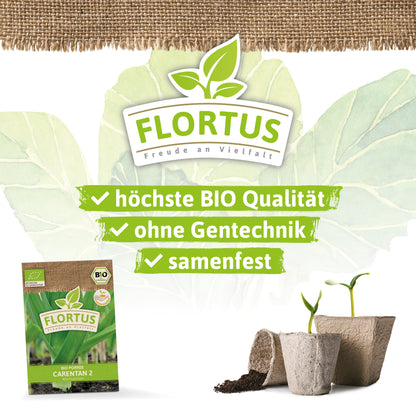  BIO Lauch-Porree Carentan 2