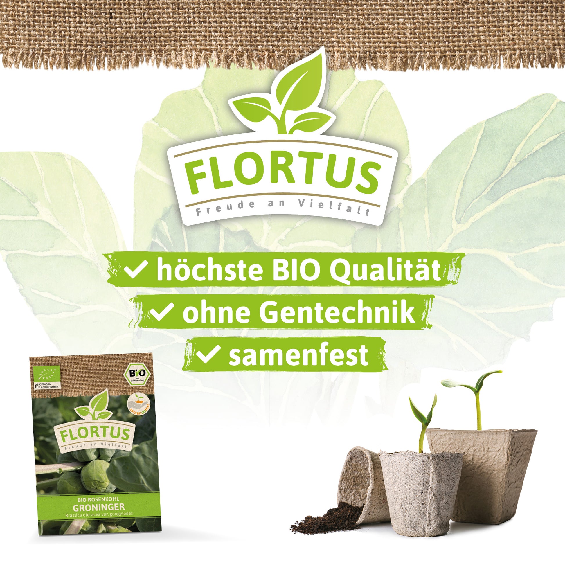  BIO Rosenkohl Groninger