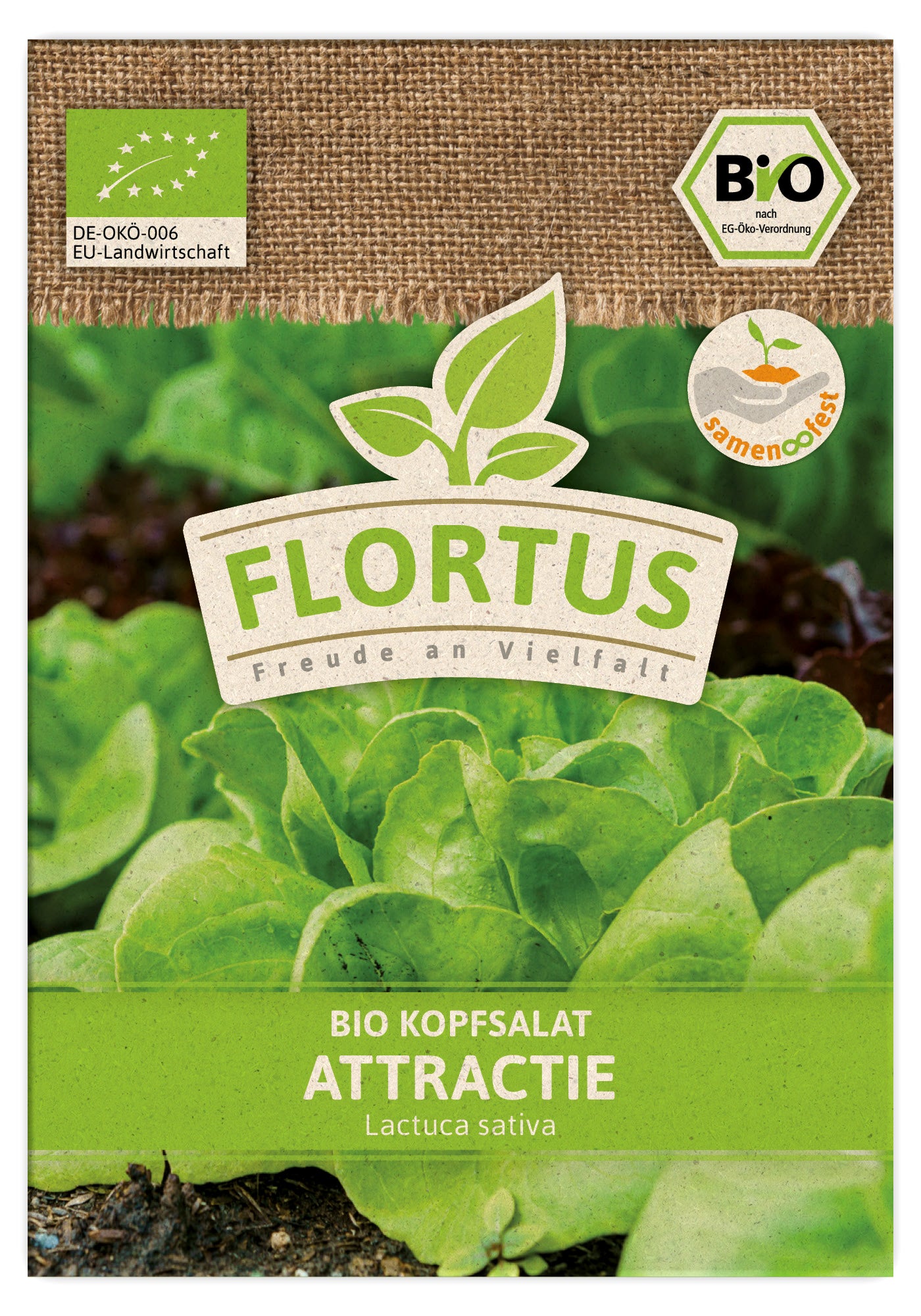  BIO Kopfsalat Attractie