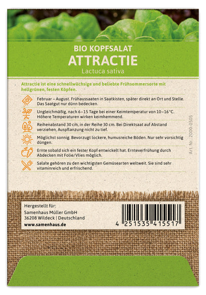  BIO Kopfsalat Attractie
