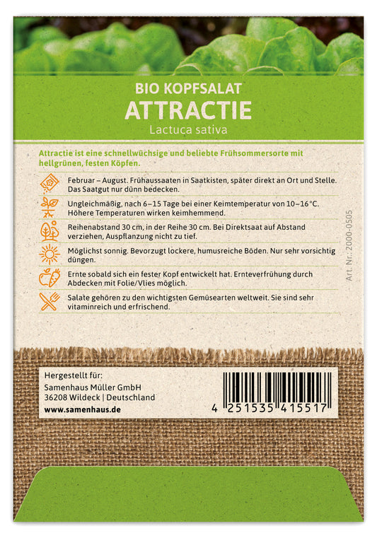  BIO Kopfsalat Attractie