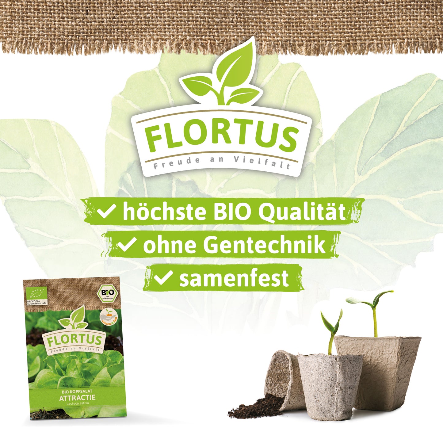  BIO Kopfsalat Attractie