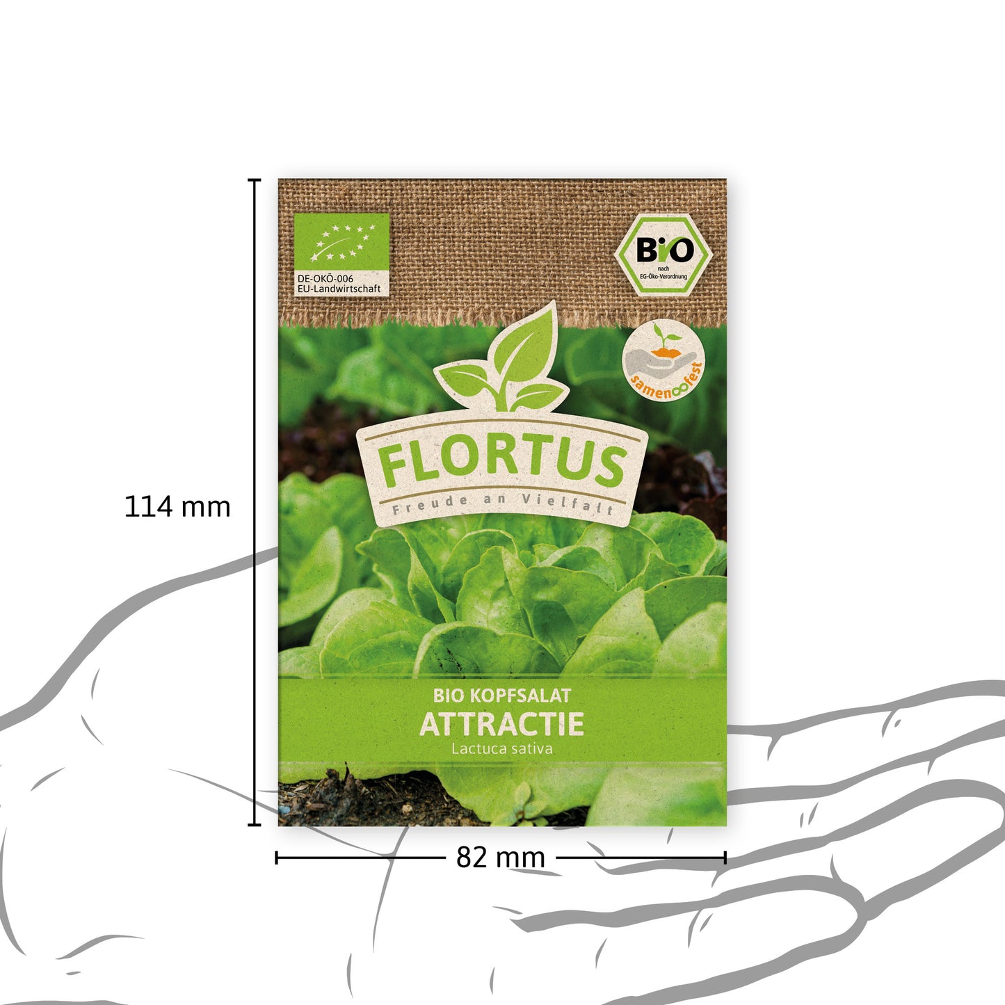  BIO Kopfsalat Attractie
