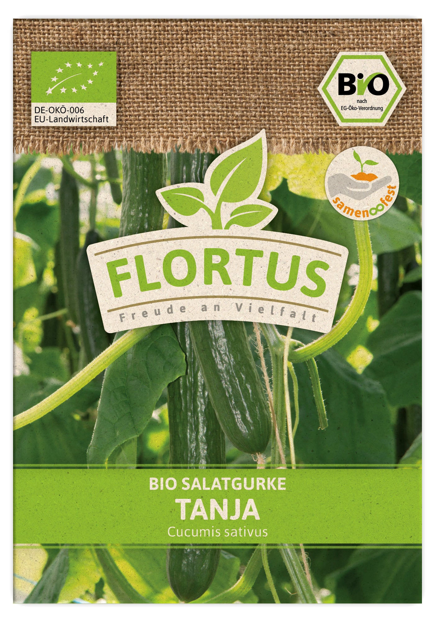  BIO Salatgurke Tanja