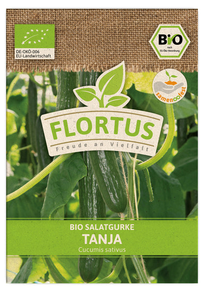 BIO Salatgurke Tanja