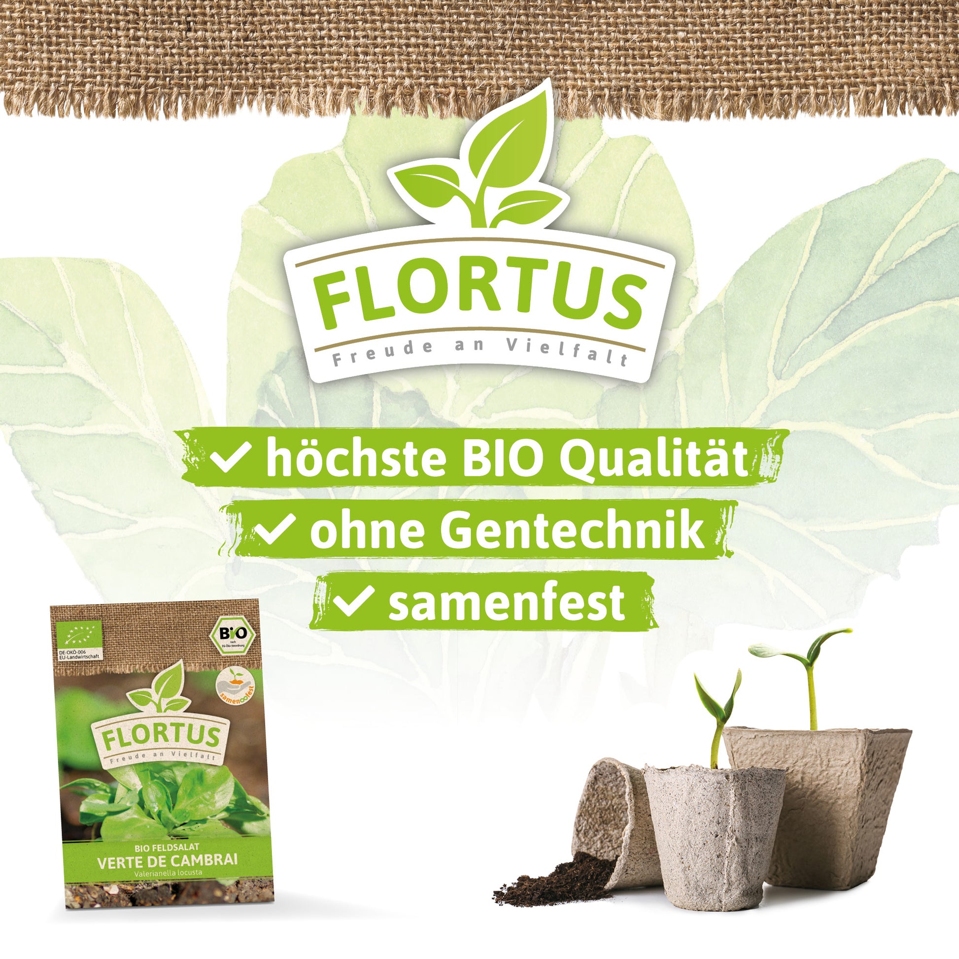  BIO Feldsalat Verte De Cambrai