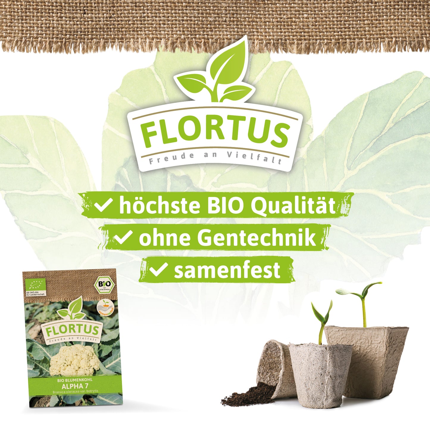  BIO Blumenkohl Alpha 7