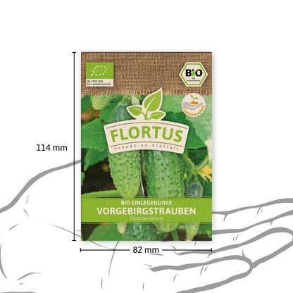  BIO Einlegegurke Vorgebirgstrauben
