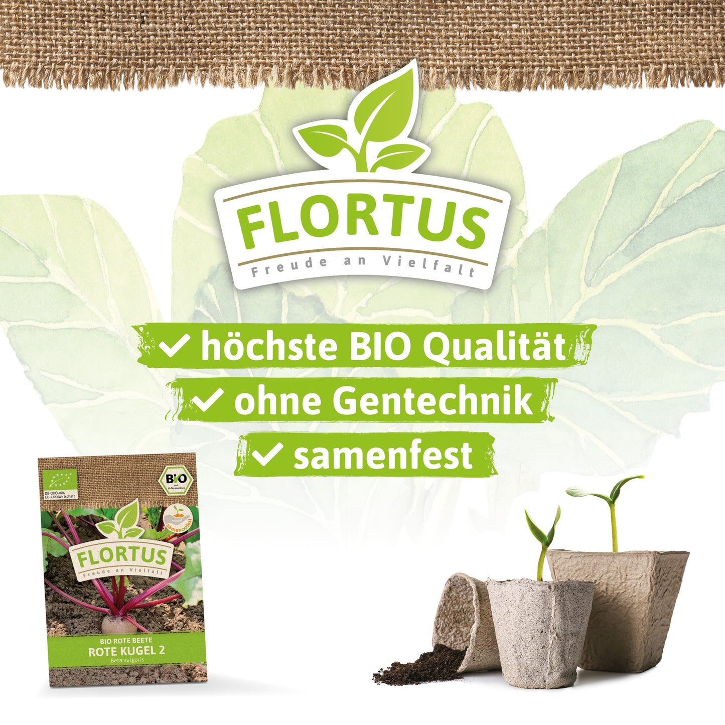  BIO Rote Beete Rote Kugel 2