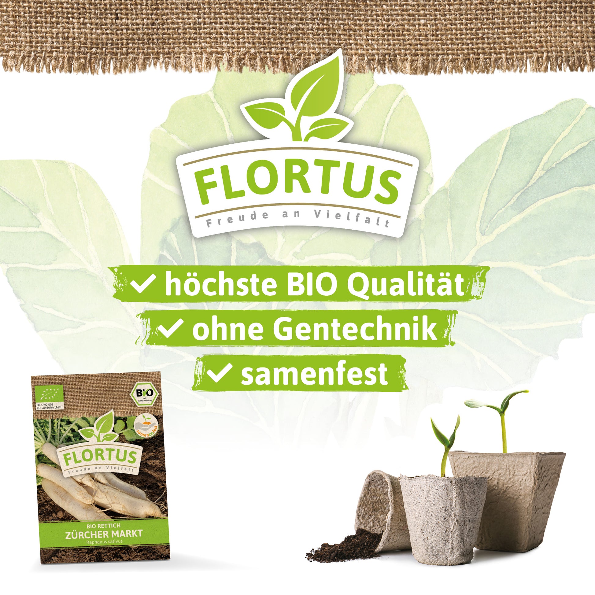  BIO Rettich Zürcher Markt