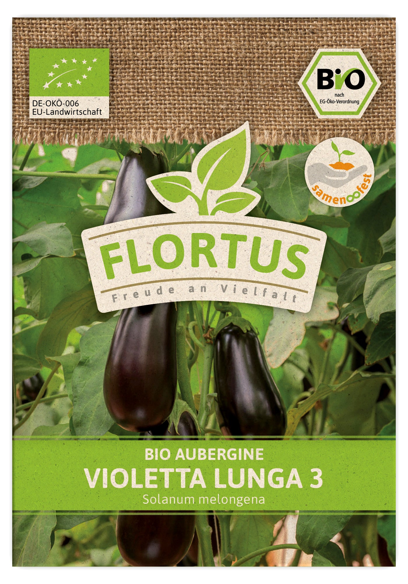  BIO Aubergine Violetta Lunga 3