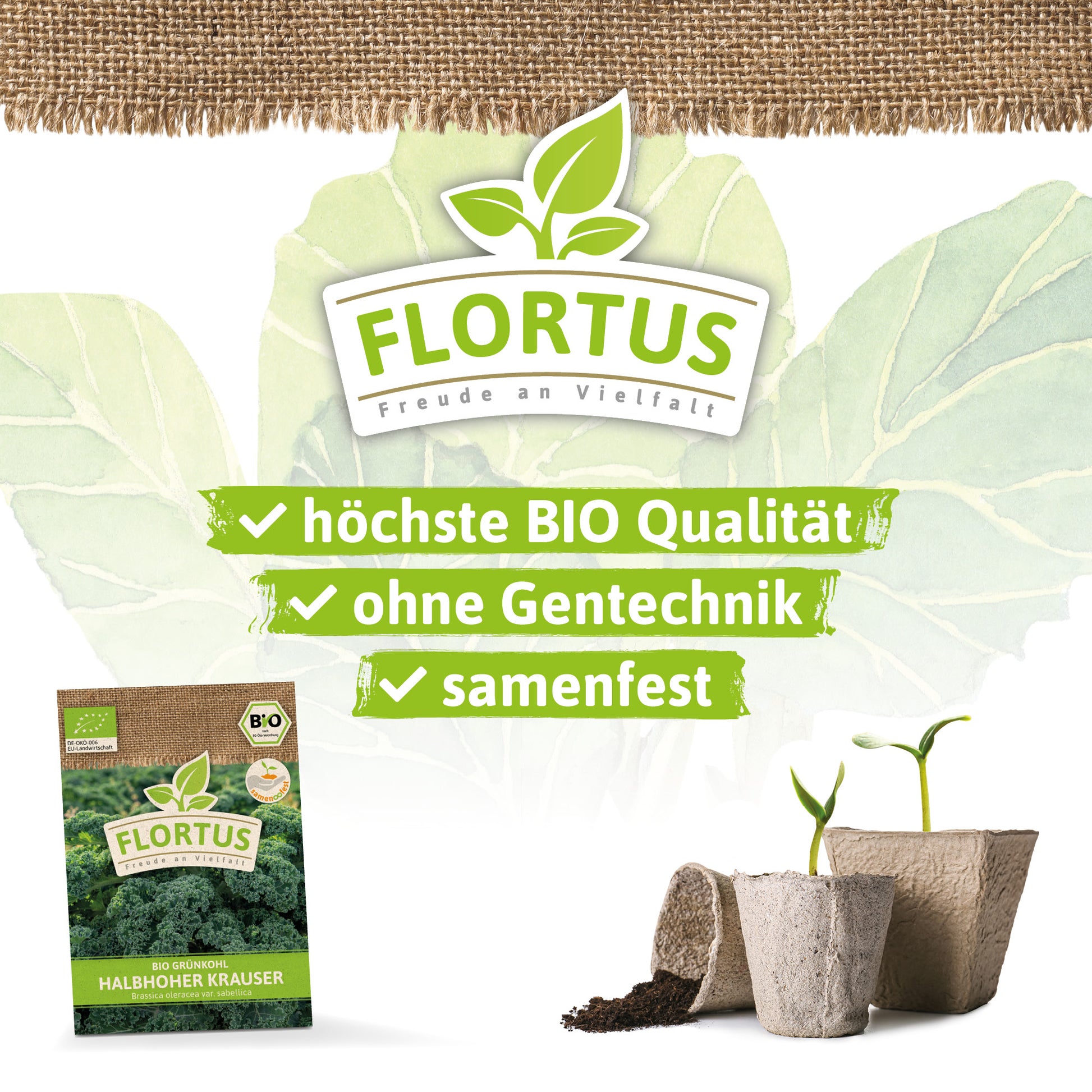  BIO Grünkohl Halbhoher Krauser