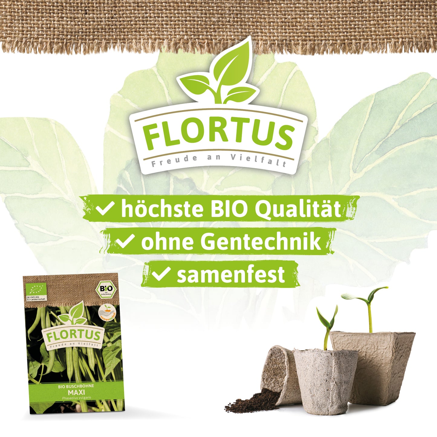  BIO Buschbohne Maxi