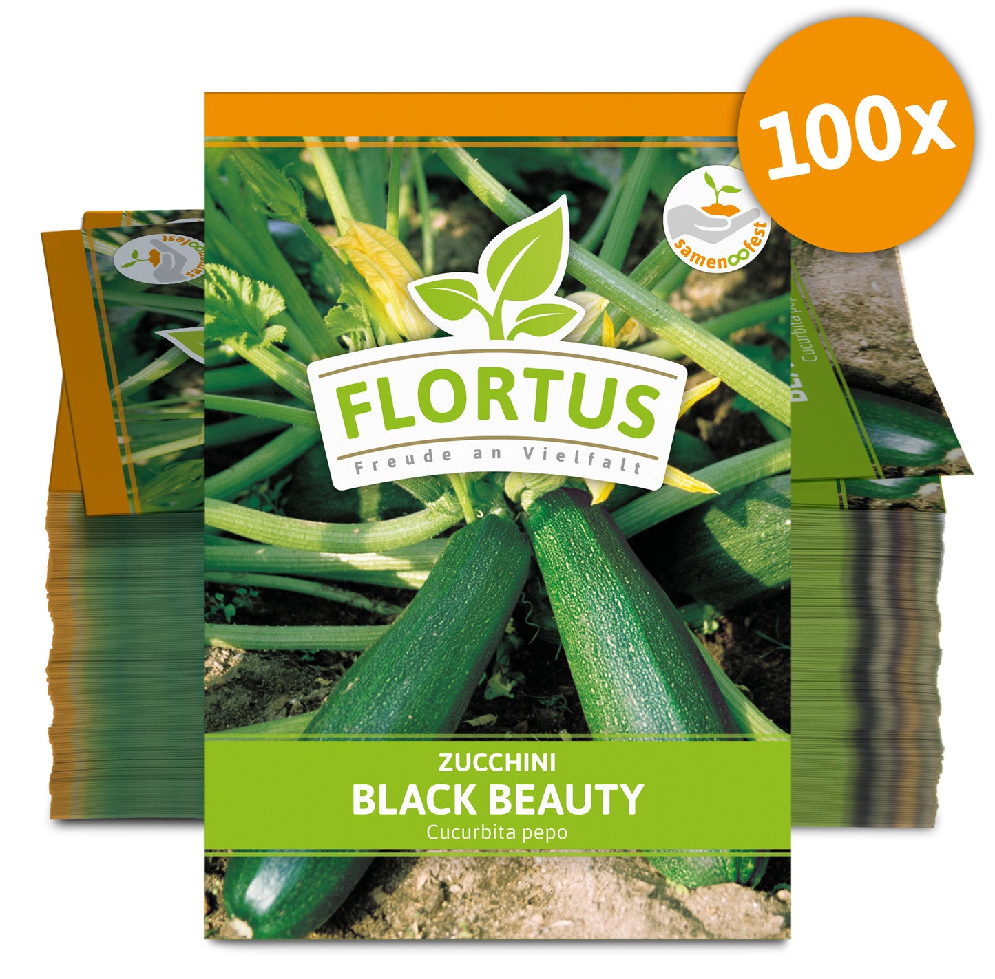  Zucchini Black Beauty (100 Stück)