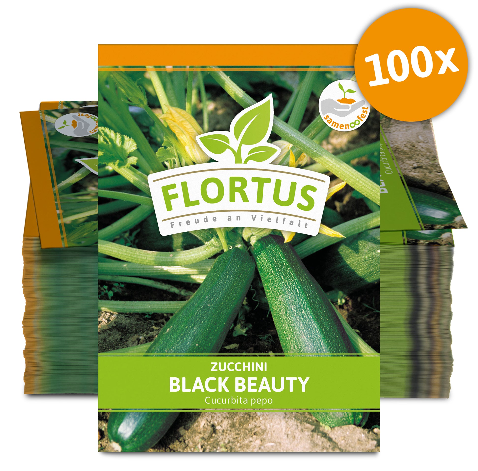  Zucchini Black Beauty (100 Stück)