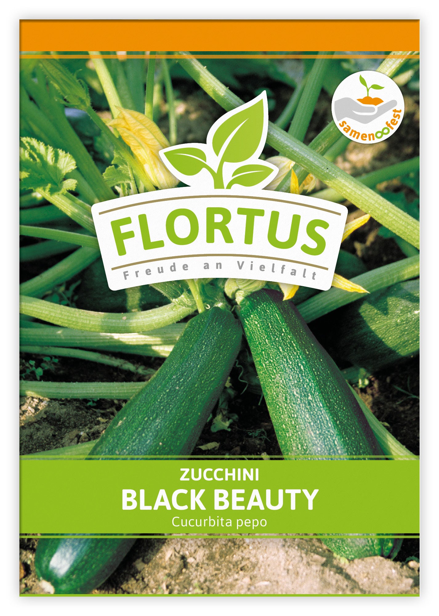  Zucchini Black Beauty (100 Stück)