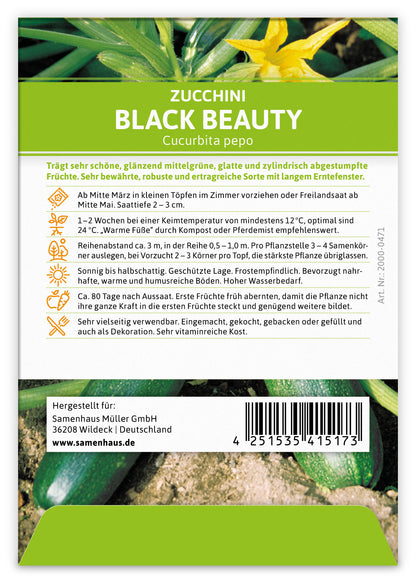 Zucchini Black Beauty (100 Stück)