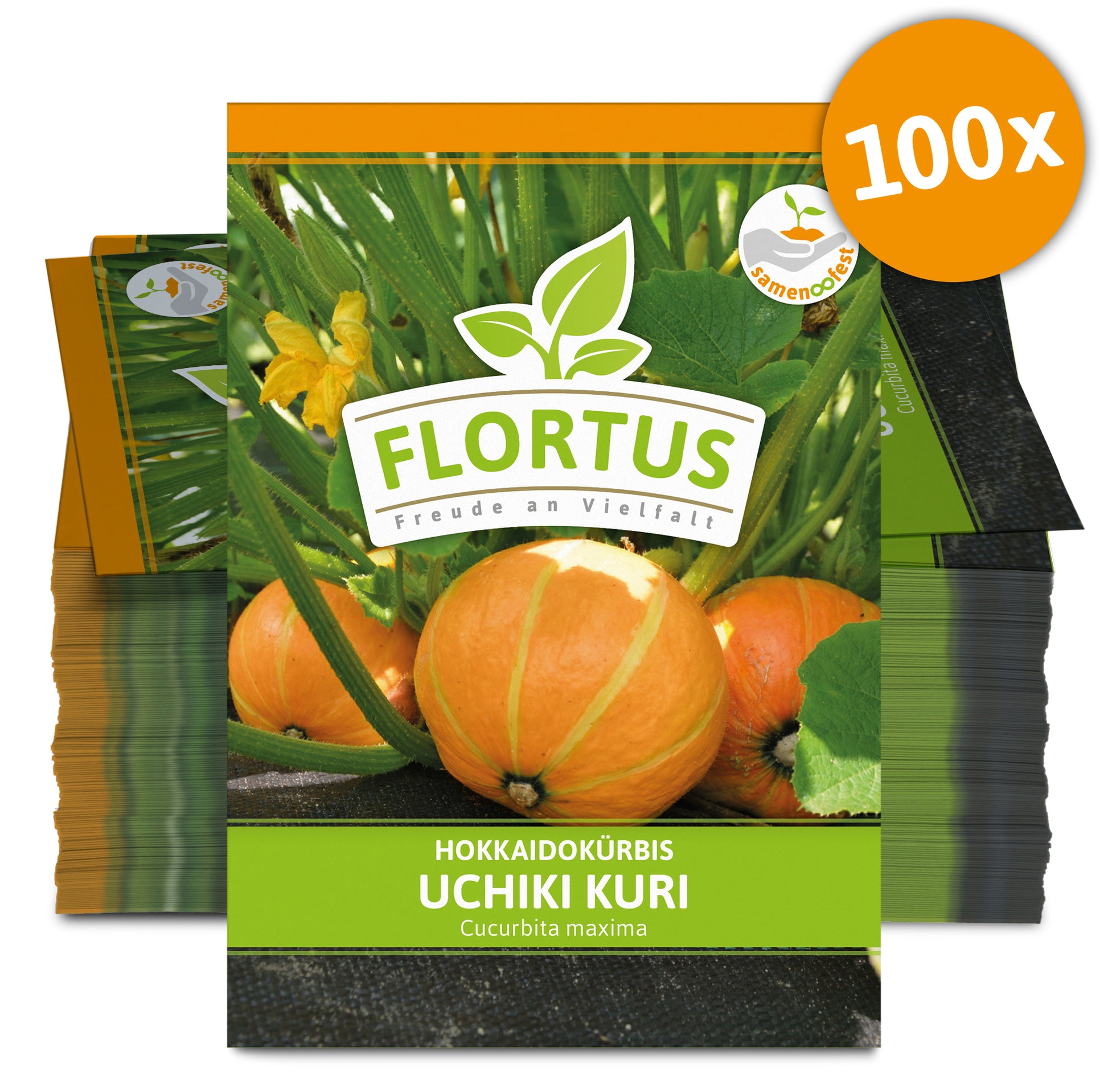  Hokkaidokürbis Uchiki Kuri (100 Stück)