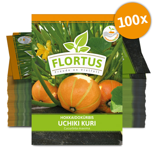 Hokkaidokürbis Uchiki Kuri (100 Stück)
