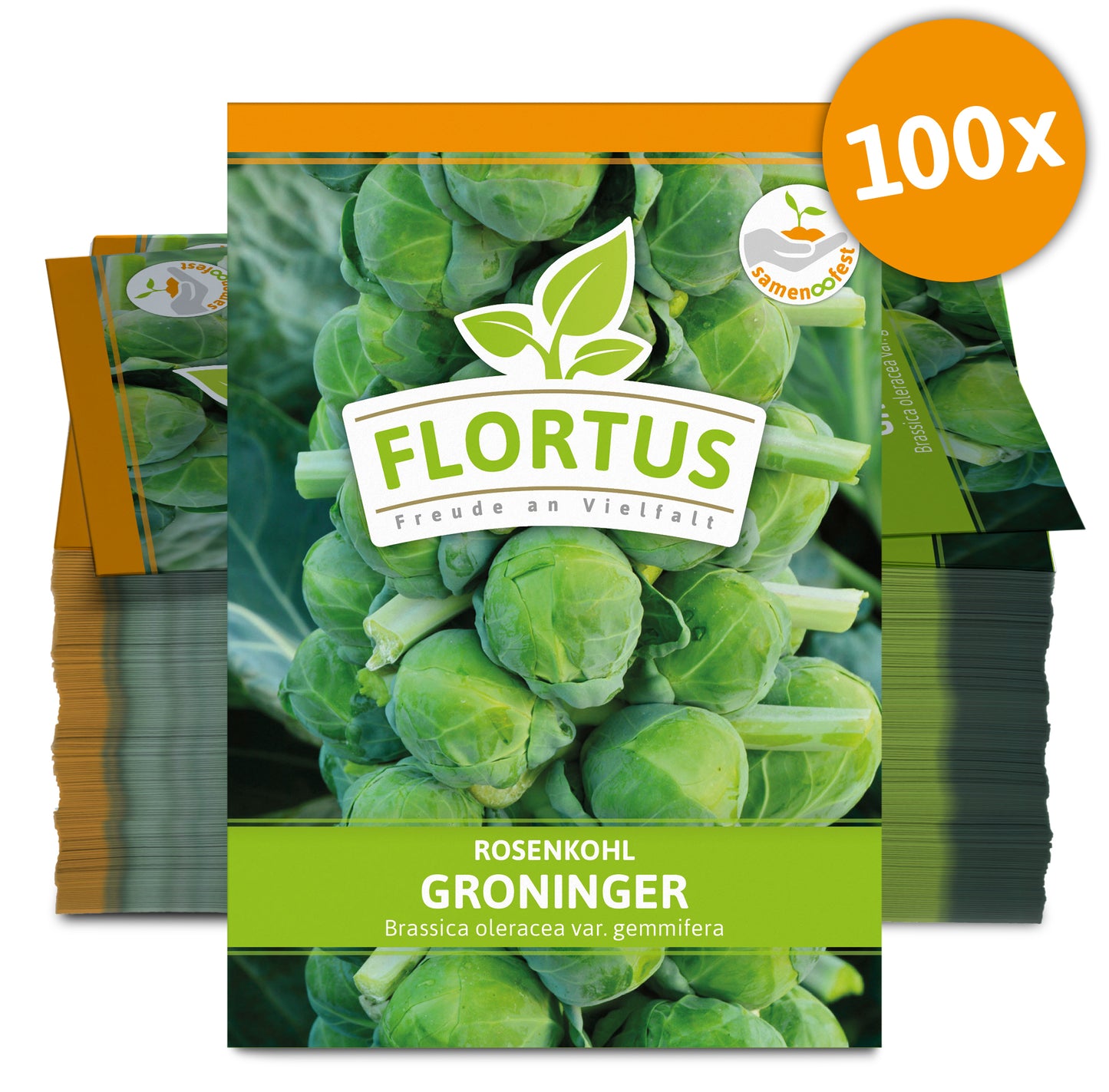  Rosenkohl Groninger (100 Stück)