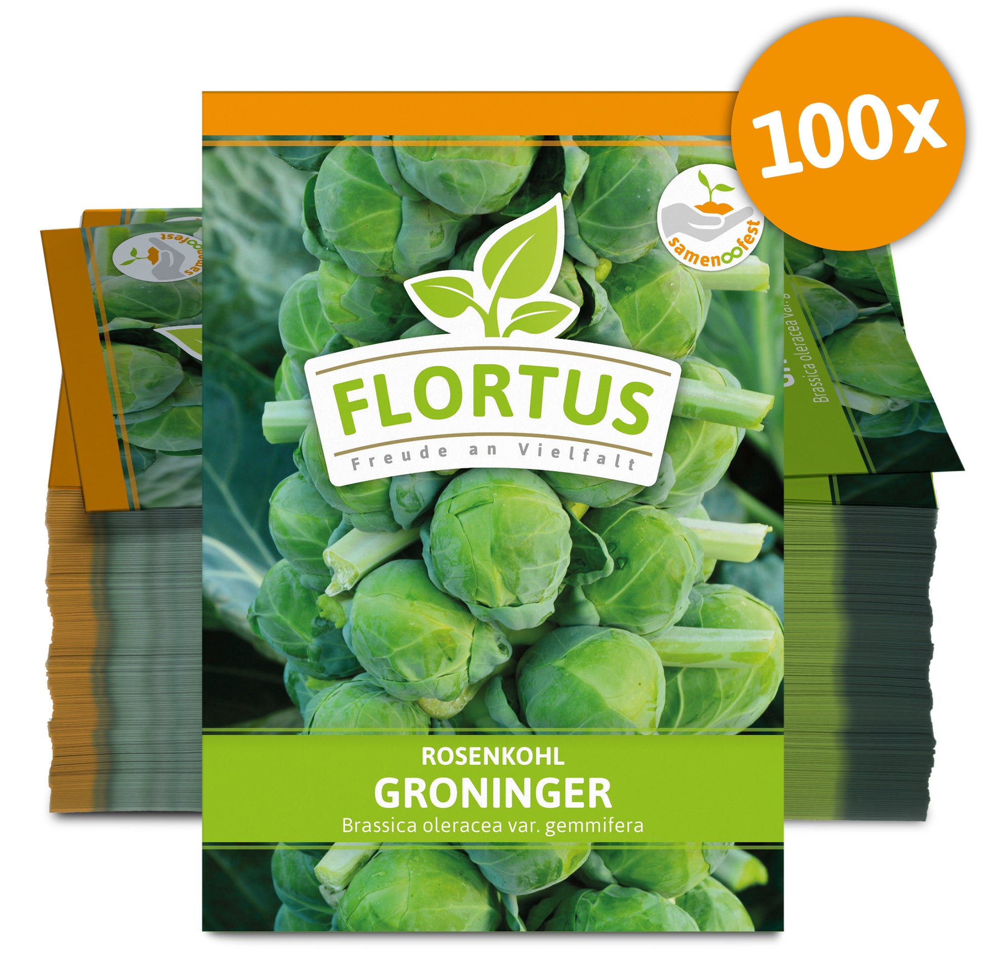  Rosenkohl Groninger (100 Stück)