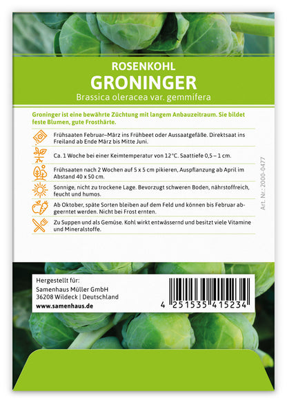  Rosenkohl Groninger (100 Stück)
