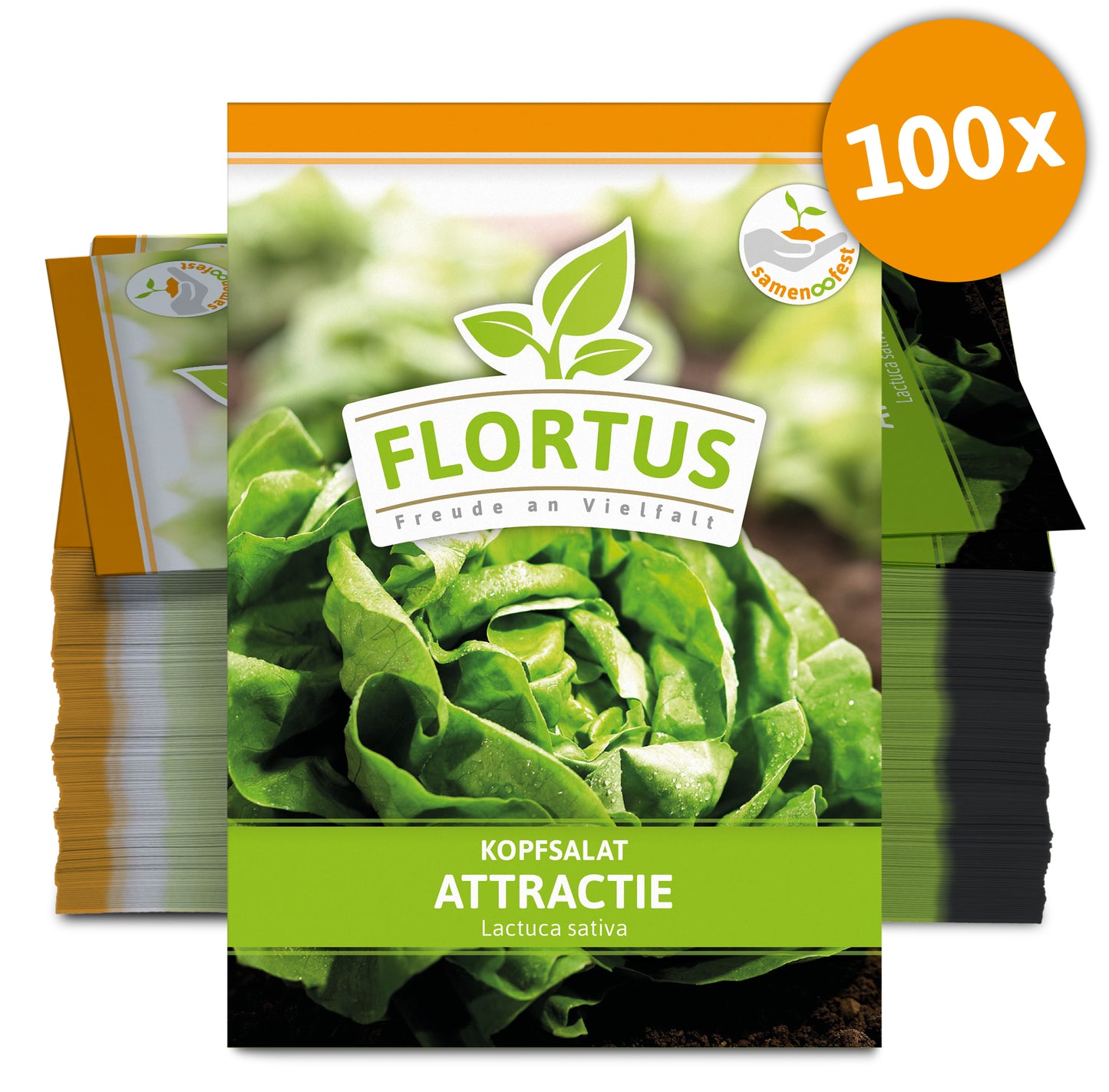  Kopfsalat Attractie (100 Stück)
