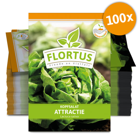  Kopfsalat Attractie (100 Stück)