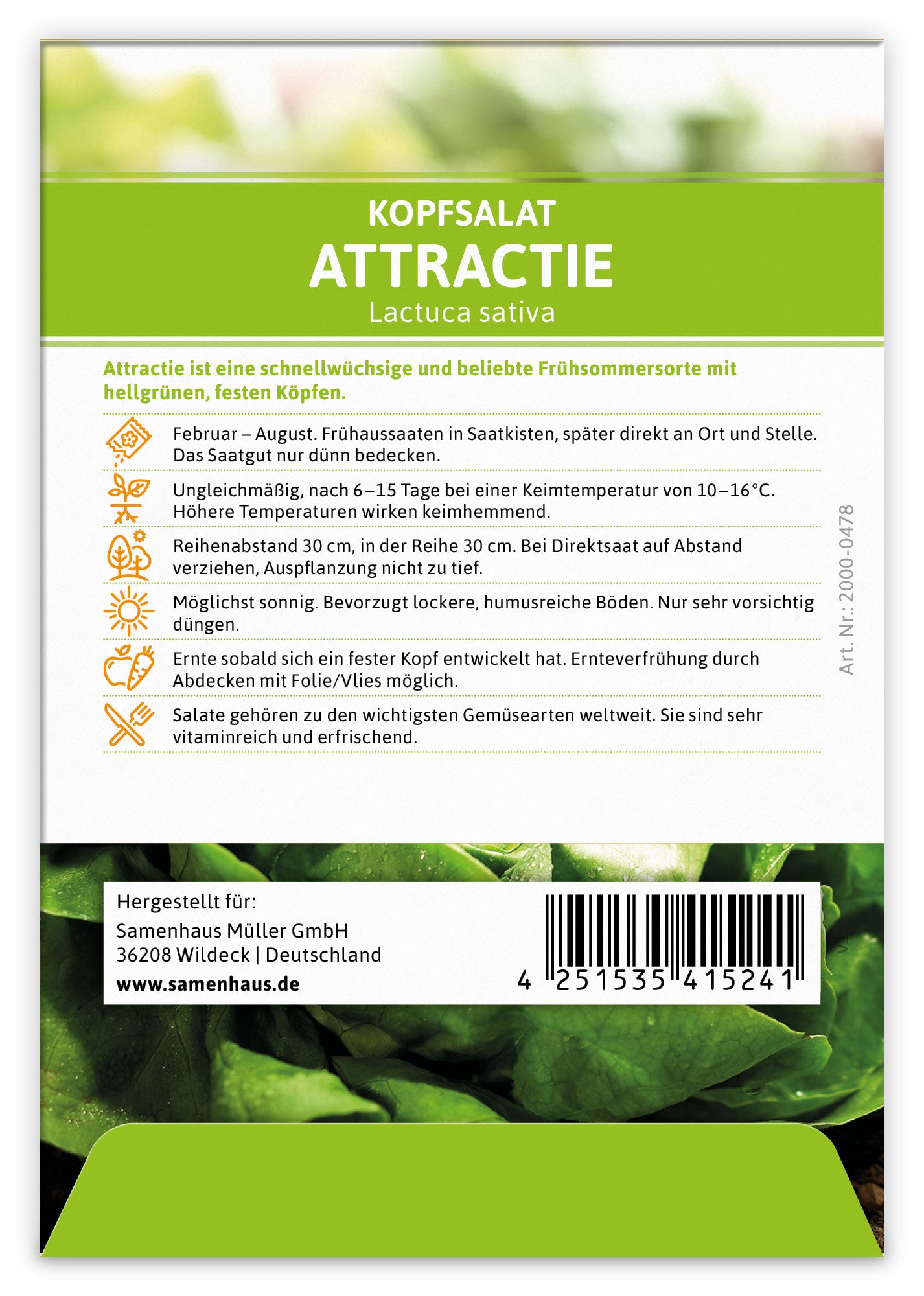  Kopfsalat Attractie (100 Stück)