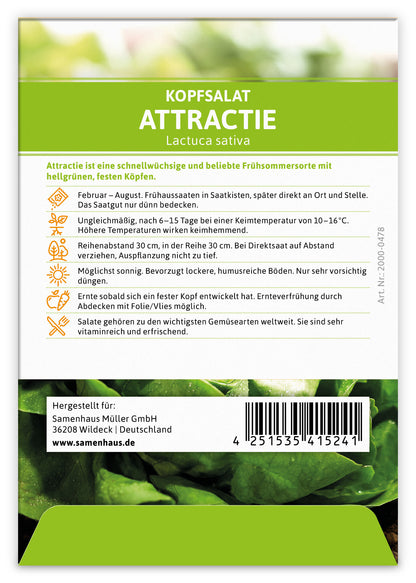  Kopfsalat Attractie (100 Stück)