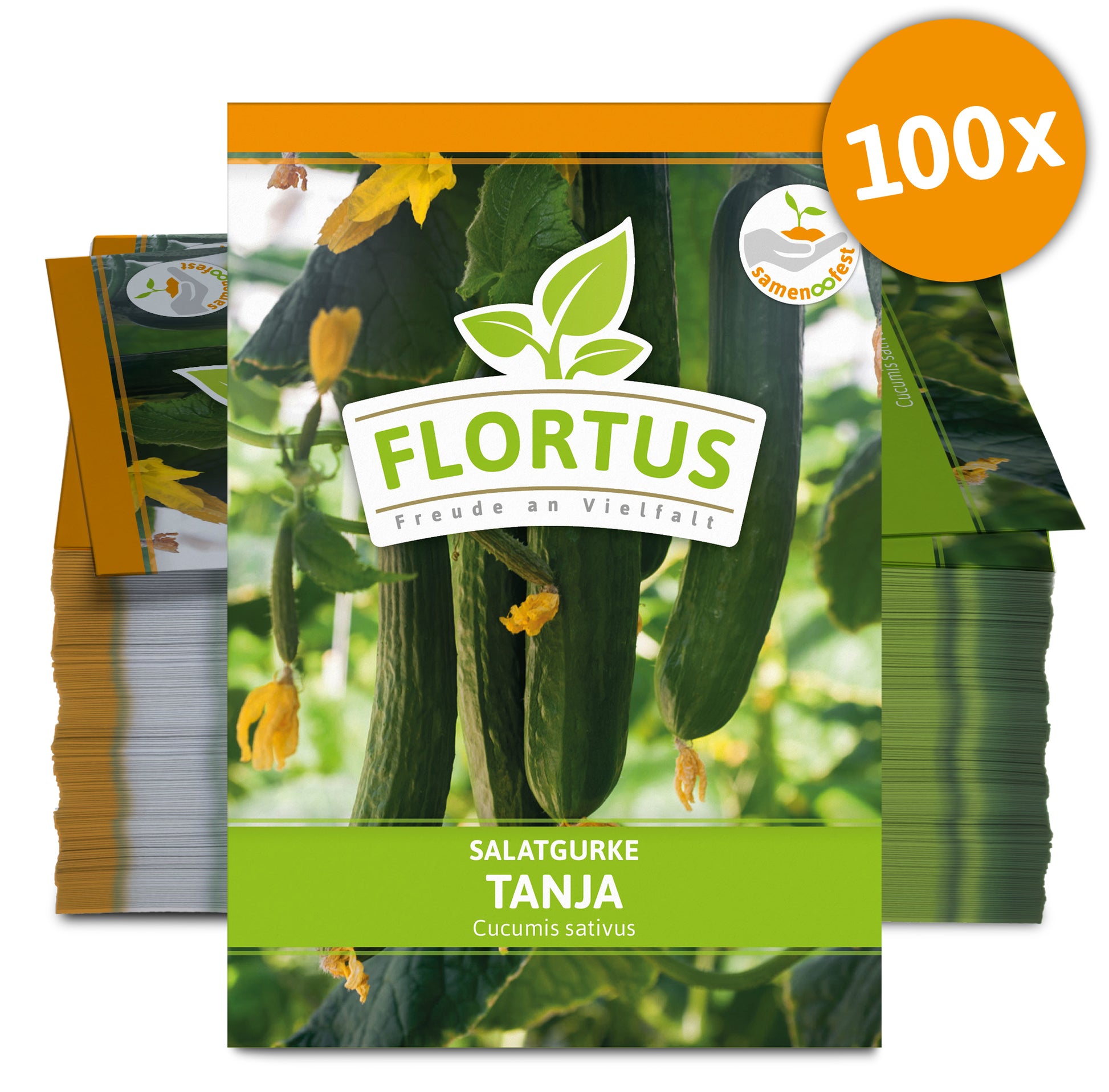  Salatgurke Tanja (100 Stück)